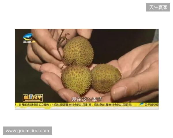 穆德里克因车窗贴膜颜色过深被拦下后,被发现禁驾期内驾驶 穆德里克因车窗贴膜颜色过深被拦下后,被发现禁驾期内驾驶